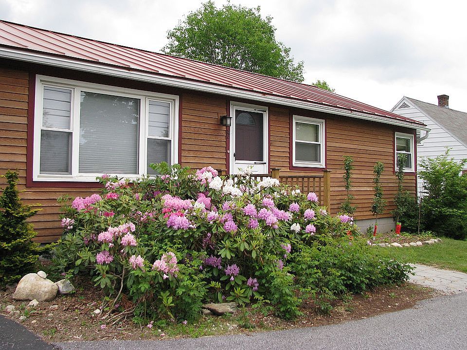 Rhododendrons in Bloom