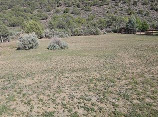 825 SE Pine Street, Cedaredge, CO 81413