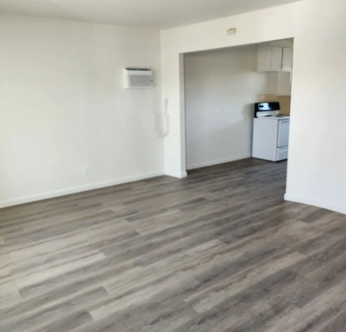 1 bed, $1,100 — Photo 1