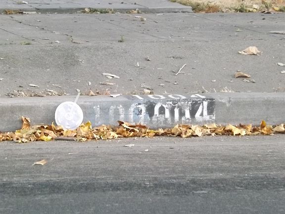 2nd image of 1004 W Park St