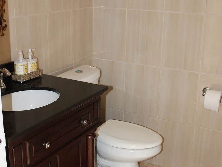 Guest Washroom