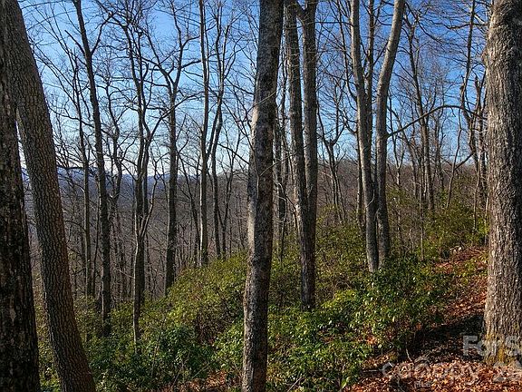 4th image of Oak Ridge Rd #17