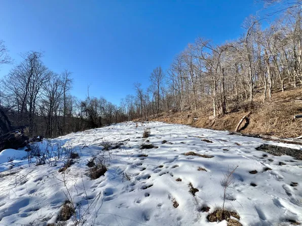 0 Dunham Ridge Rd, Ravenswood, WV 26164