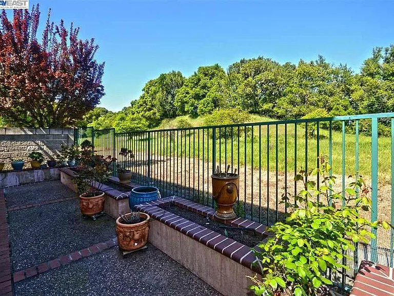 8167 Moller Ranch Dr — Photo 21