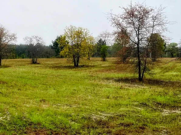 0 Guy Weatherly Rd, Cadwell, GA 31009