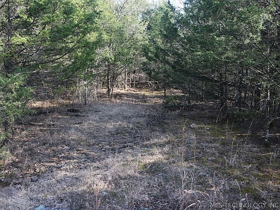 4th image of Kirk Mountain Rd