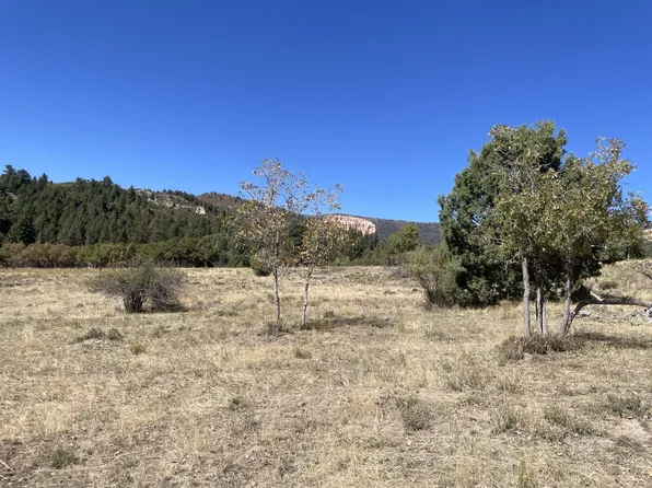 257 N Gobbler Loop, Duck Creek Village, UT 84762