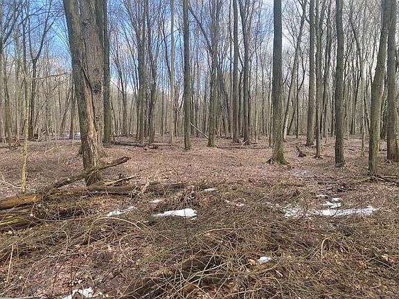 4th image of 2963 Detroit Rd