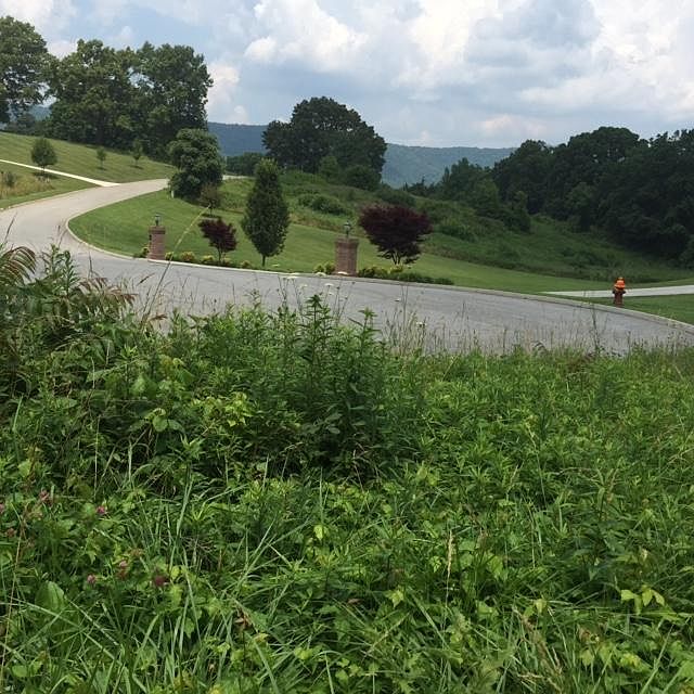 2nd image of Rolling Hills Ln