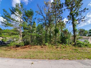 2686 W Andromedae Dr, Citrus Springs, FL 34433
