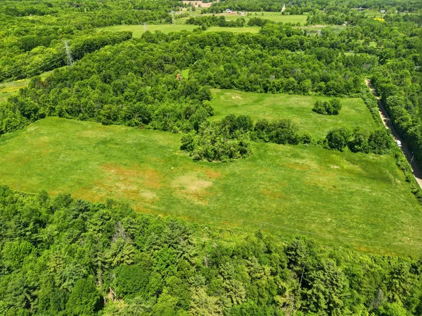 Vl Hagerman Rd, Leonard, MI 48367