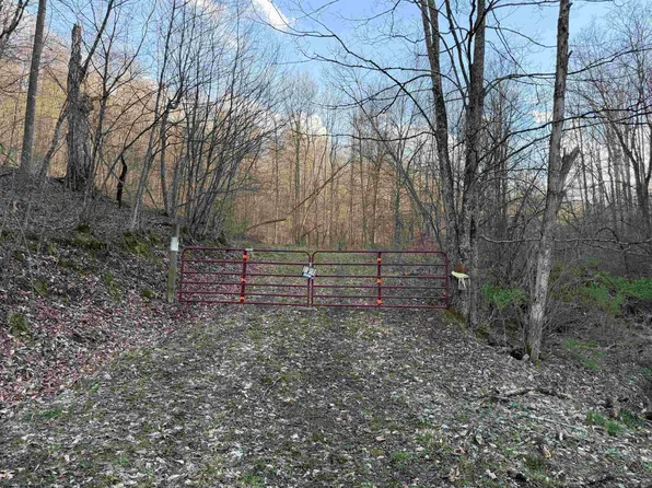 Wash Run Rd, Volga, WV 26238