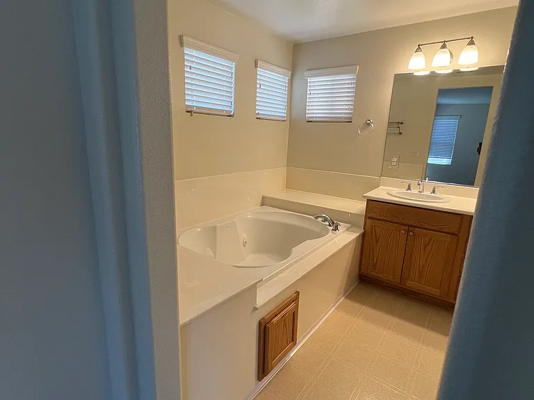 Master bathroom
