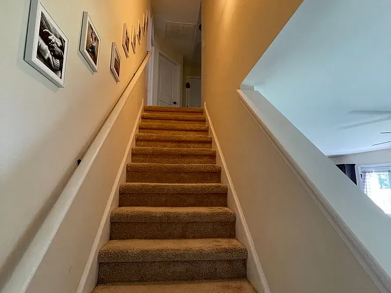 216 Holly Grove Ct E — Photo 8
