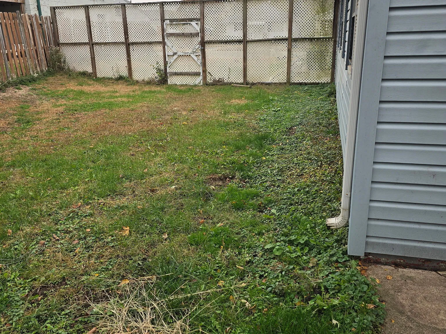 1611 South Oakwood Avenue - 1 — Photo 3