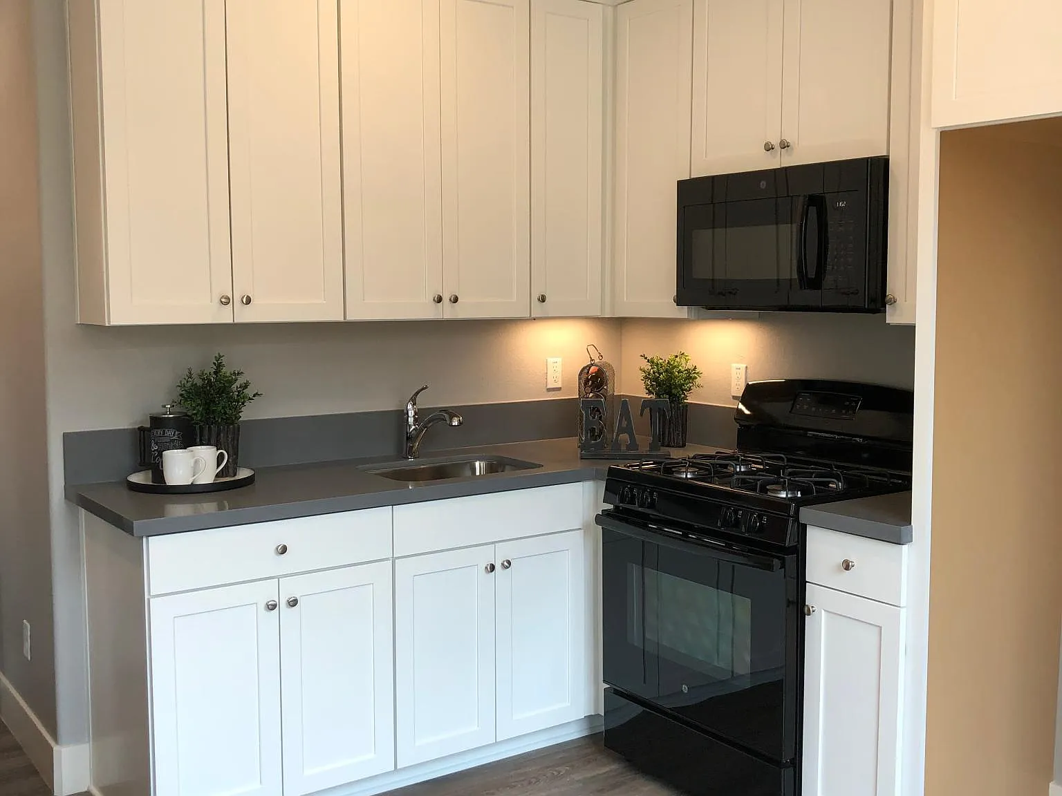 1 bed, 560 sqft, $2,100 — Photo 3