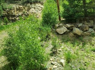 462 Doe Cir, Bailey, CO 80421