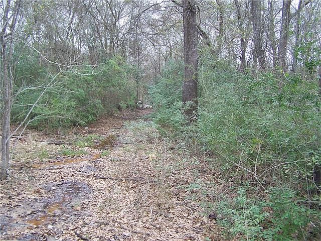 1st image of 3168 E Us Highway 290