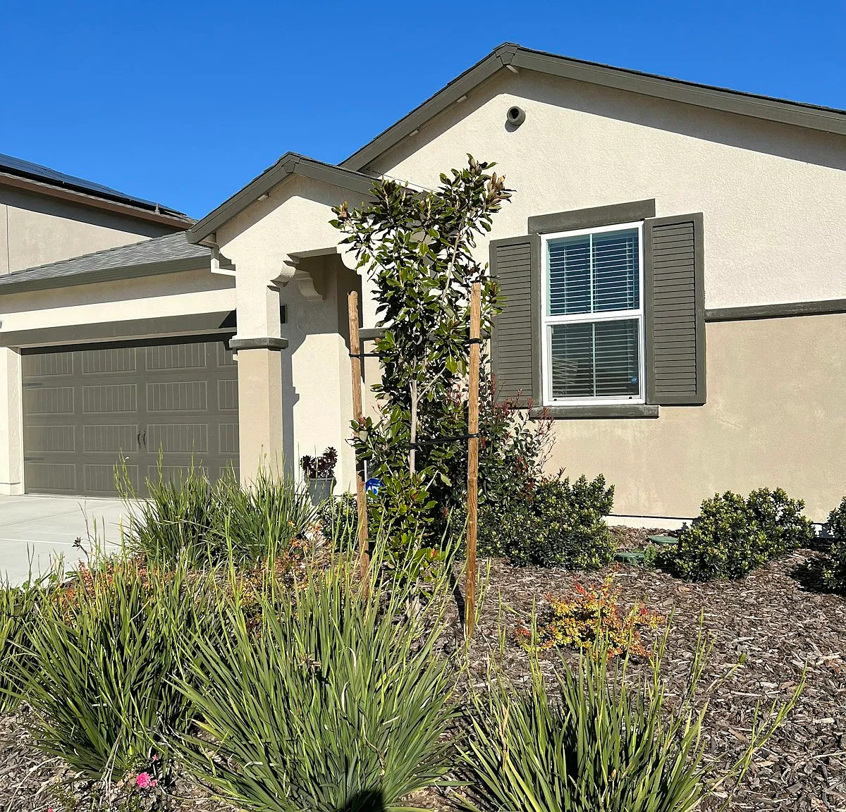 10424 Skynyrd Way — Photo 2