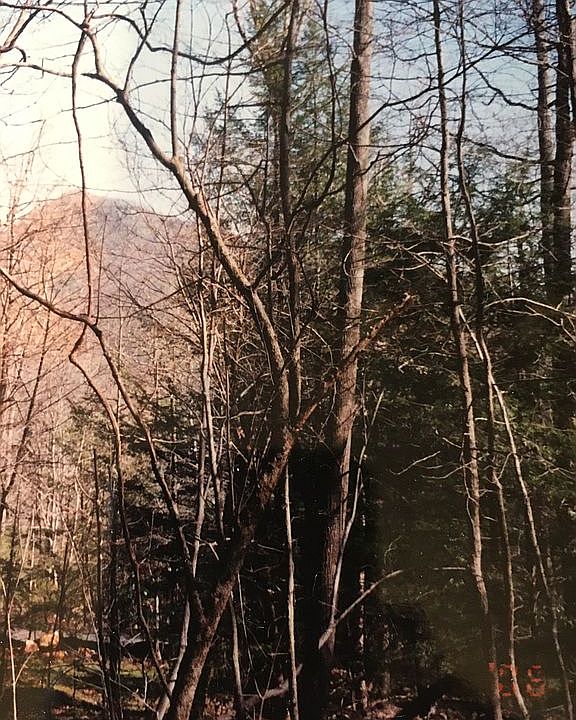 2nd image of 324 Big Rock Ln