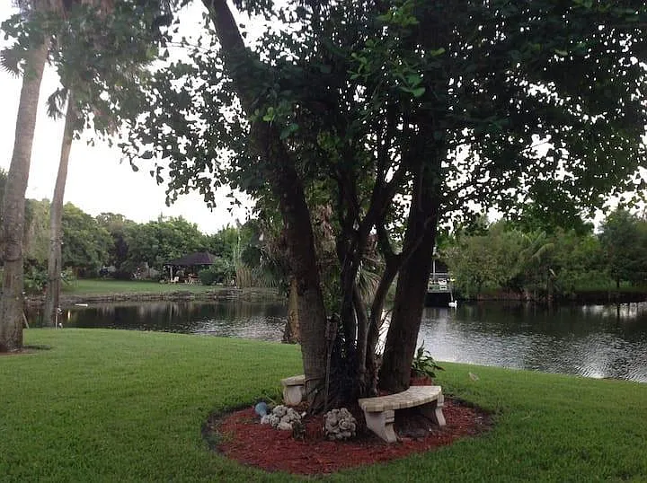 A glance at the Back yard