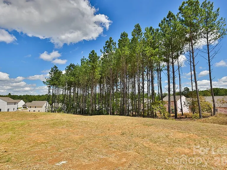 6136 Ahoskie Dr — Photo 4