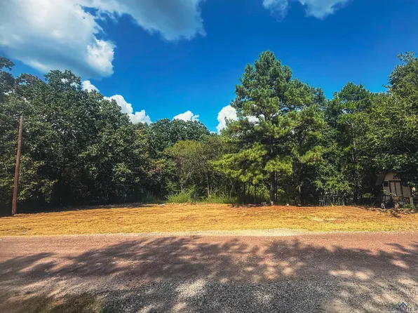 4365 Bobwhite Rd, Gilmer, TX 75645