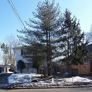 1st image of 538 Oak St