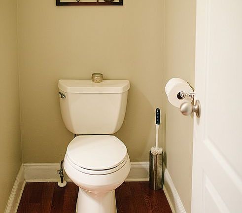Powder room toilet area