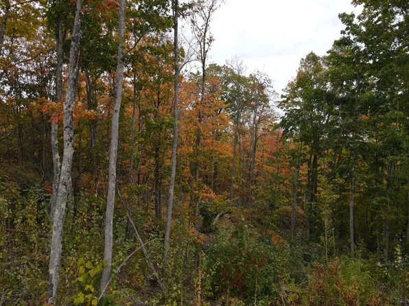 PARCEL 1 N Koski Rd, Bessemer, MI 49911