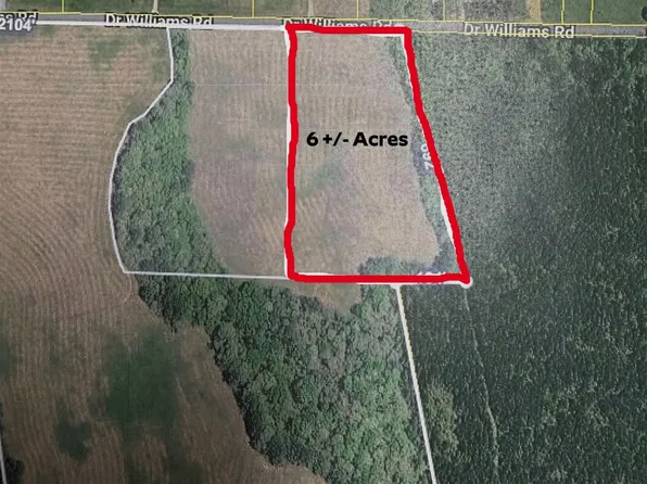 1 Dr Williams Dr, Michie, TN 38357