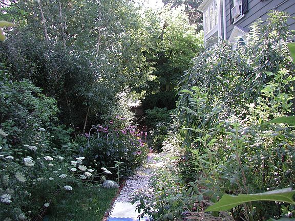 garden and path