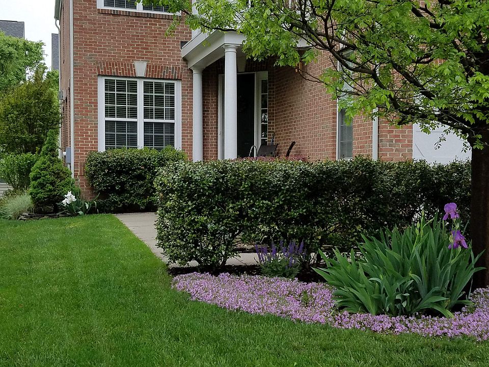 1st image of 2449 Cypress Green Ln