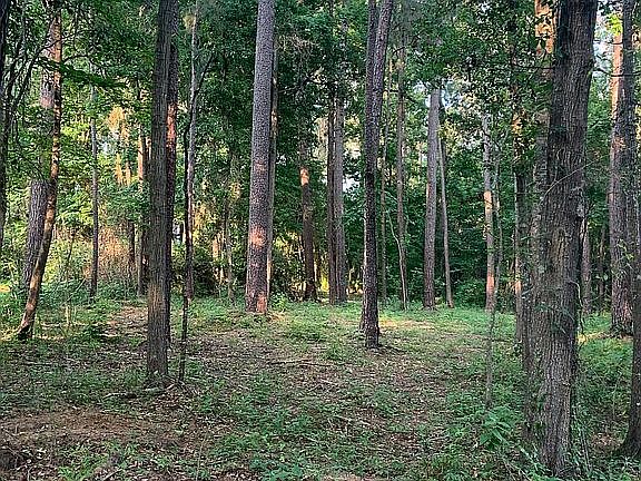 5th image of Whispering Wood Cv