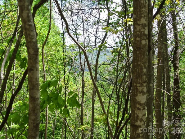 0 Pond Rd, Spruce Pine, NC 28777