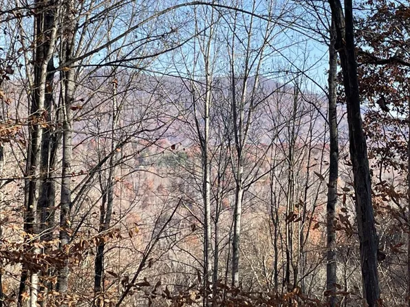0 Abert Rd, Lynchburg, VA 24503