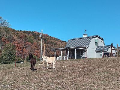 935 Adams Ln, Mooresburg, TN, 37811