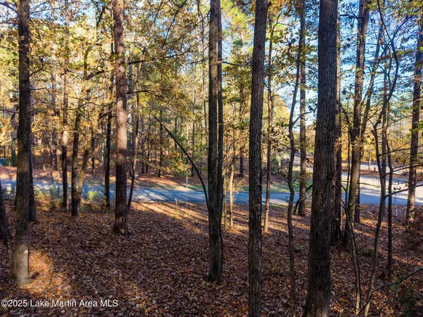 15 Little Rdg, Alexander City, AL 35010