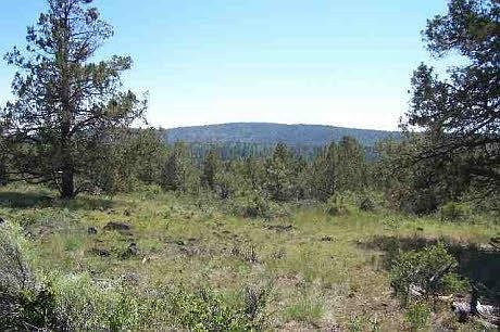 2nd image of 0 Widgeon Ln