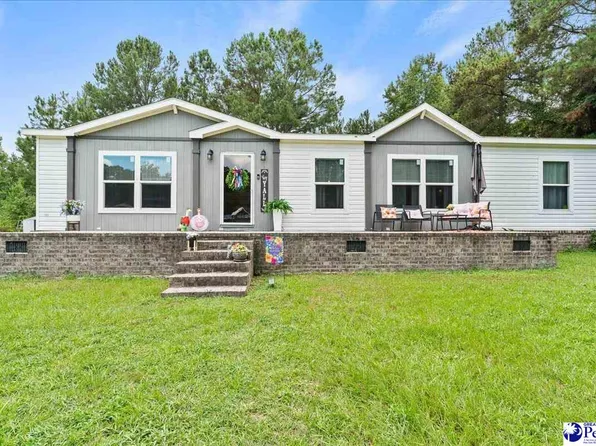 3646 Bobwhite Trl, Effingham, SC 29541