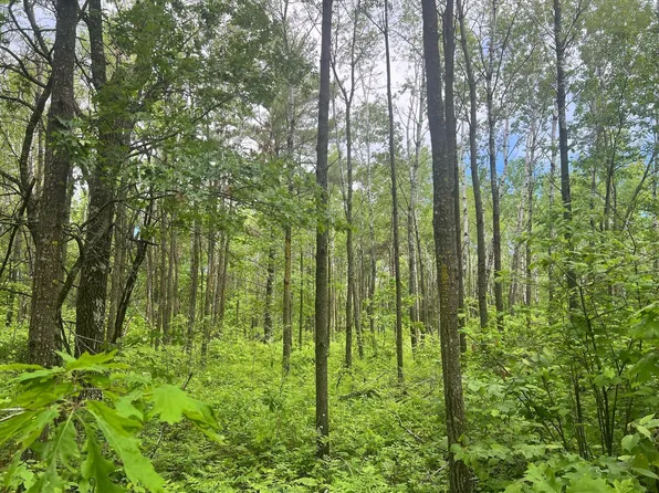 Emmas Pass SW, Pequot Lakes, MN 56472