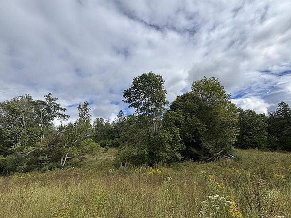 5th image of 0 Brumley Gap Rd