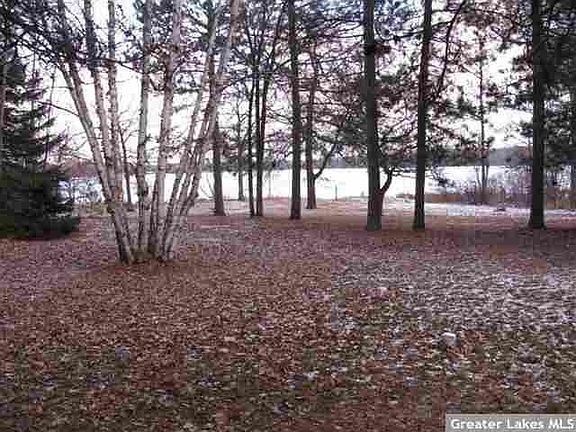 2nd image of 37000 Norway Pine Dr