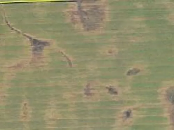 14409 560th Ave, Donnelly, MN 56235