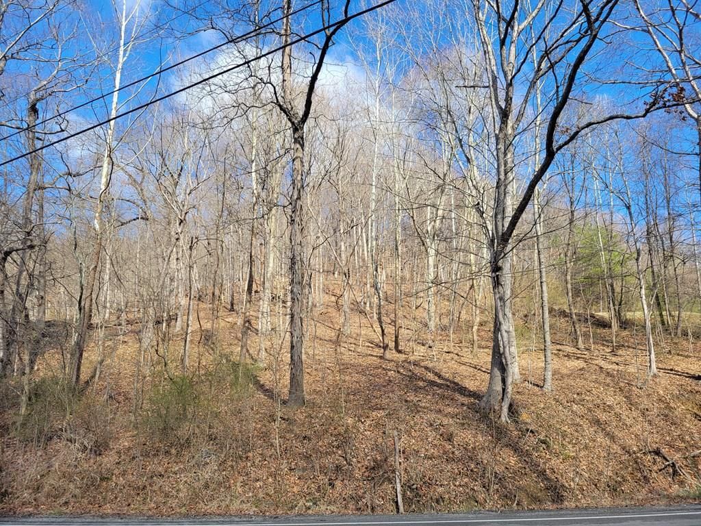 Real estate listing image