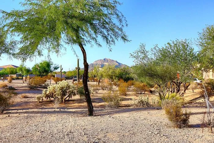 5 bed, 3.0 bath, 3465 sqft, $3,895 — Photo 2