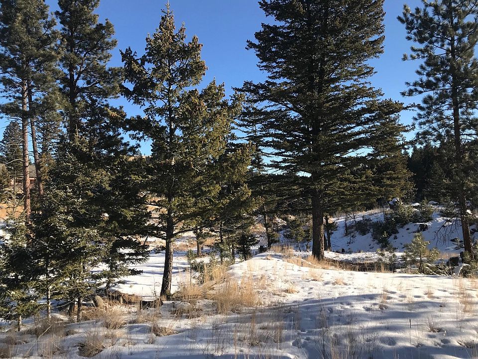 1st image of 2024 Grizzly Gulch Dr