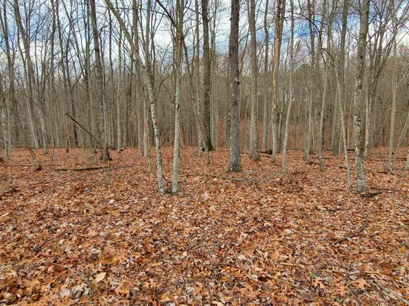 Burks Pl, Monterey, TN 38574