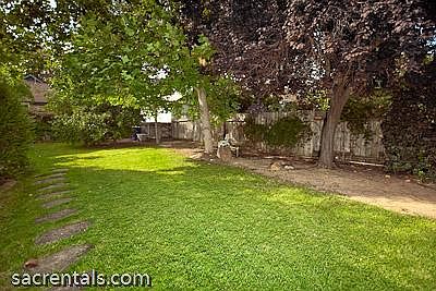 Beautiful PRIVATE yard with trees