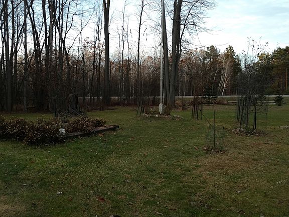 large vegetable garden 